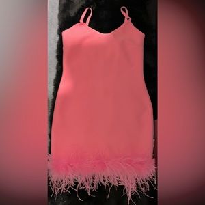 Fashion Nova bubblegum pink, bodycon dress with marabou feathers.